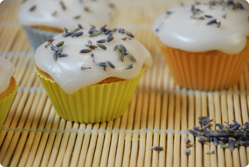 Lavendel-Buttermilch-Cupcakes