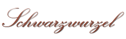 Schwarzwurzel
