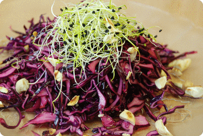 <a href="/recipes/618"><img alt="Titelsschrift" src="/system/rectitles/CAPS_Roter.png?1411216992" /><img alt="Titelsschrift" src="/system/rectitles/Kabissalat.png?1411216992" /></a>