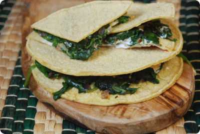 <a href="/recipes/763"><img alt="Titelsschrift" src="/system/rectitles/CAPS_Spinat-Ziegenkäse-Quesadillas.png?1479239069" /></a>
